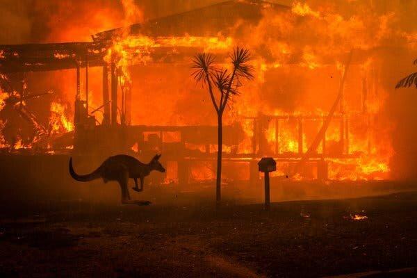 آتش سوزی گسترده در جزیره فریزر استرالیا