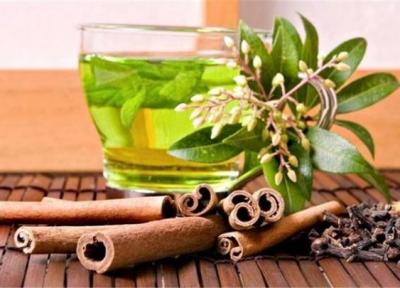 39 طرح کامل کارآفرینی صنعت گیاهان دارویی در دسترس نهاده شد