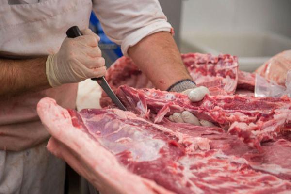 گزارش عجیب از عرضه گوشت اسب و الاغ در کشور ، استفاده از گوشت گربه برای سوسیس و کالباس واقعیت دارد؟