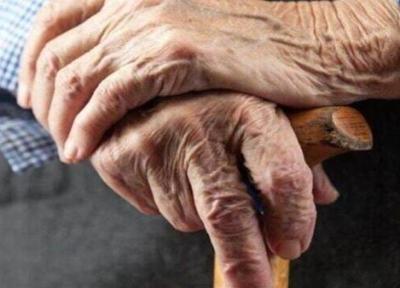 توانایی مکمل های غذایی در جلوگیری از شایع ترین دلیل نابینایی افراد مسن