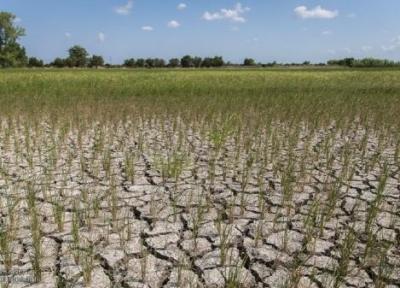 خشکسالی و نهاده های دامی مهم ترین چالش های احصا شده بخش کشاورزی کشور است